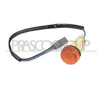 PRASCO Indicatore Sinistra Destra Adatto A per Fiat Panda 141 141A