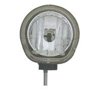 PRASCO FT1224433 FENDINEBBIA DESTRO-SINISTRO SPECIFICO PER PANDA DAL 2003 AL 2011 (ANCHE PER VERSIONI CLIMBING 4X4 E NATURAL POWER).