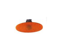 PRASCO FT1324139 Indicatore di direzione Specchietto esterno sinistro Specchietto esterno destro installazione laterale Freccia Freccia Indicatore direzione