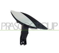 PRASCO FT5208601 Maniglia porta