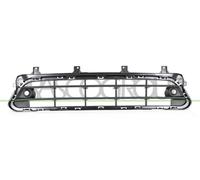 PRASCO MN7062110 Griglia paraurti