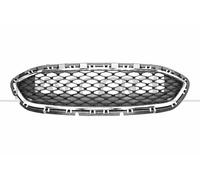 PRASCO Griglia Radiatore Adatta Per Ford Fiesta VII Nera