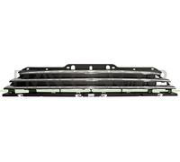 PRASCO Griglia Radiatore Adatta Per MINI Mini R56 Cooper D One Con Listello
