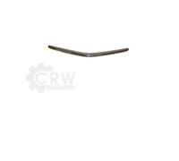 PRASCO Griglia Radiatore Adatto A per Toyota Prius Liftback _W2_ Con Modanatura