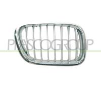 Prasco Griglia Radiatore Anteriore Destra Adatta Per Bmw X5 E53 3.0d 3.0i Grigio