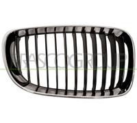 PRASCO Griglia radiatore BM1212003 | Compatibile con: BMW 1, 1