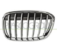 Prasco Griglia radiatore sinistra BMW X1 F48 (2015-2019) Lato SX X-Line cromata 51117383365
