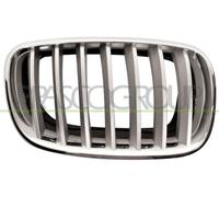 PRASCO Griglia radiatore BM8222013 Compatibile con: BMW X5