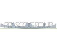 PRASCO Griglia radiatore RN9172001