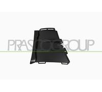PRASCO Griglie Paraurti Anteriore Sinistra per Mercedes-Benz W213