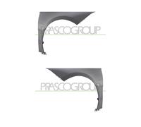 PRASCO Kit Parafanghi Sinistro Destro per Mercedes A-Klasse W177 V177 2 Pezzi
