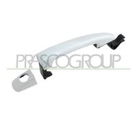 PRASCO Maniglia esterna sportello CI5238004