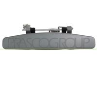 PRASCO Maniglia esterna sportello DA2208207