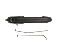 PRASCO FT1488002 Maniglia porta