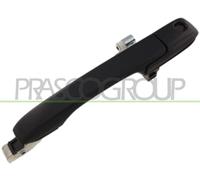 PRASCO Maniglia esterna sportello HD8248008