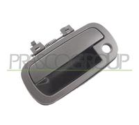 PRASCO DS8108002 Maniglia porta