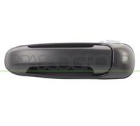 PRASCO Maniglia porta JE0118108 Esterno & posteriore Sx liscio