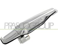 PRASCO Maniglia porta MB7108106 Esterno posteriore Sx