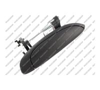 PRASCO Maniglia porta RN0268201 posteriore Dx anteriore Dx
