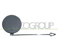 PRASCO Mascherina Paraurti Anteriore Sinistra Adatta Per BMW X5 E70 BM8221238