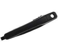 MANIGLIA PORTIERA LM263Q MR970229