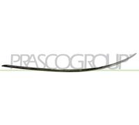 Prasco ME0291244 - Modanatura Decorativa/Protettiva, Paraurti