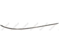 Prasco ME0291274 - Modanatura Decorativa/Protettiva, Paraurti