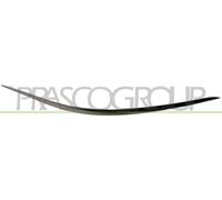 PROFILO CROMATO DESTRO PARAURTI ANTERIORE MERCEDES CLASSE E 211 EVO 2006-> A2118