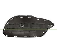 PRASCO ME0462113 Griglia paraurti interno anteriore Dx Compatibilità con MERCEDES-BENZ Coupe C207 Cabrio A207