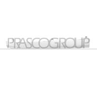 PRASCO Modanatura decorativa/protettiva, Griglia radiatore SB7042213