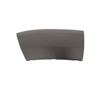 Prasco Modanatura Decorativa/Protettiva, Parafango FT9301574