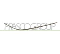 Prasco Modanatura Paraurti Profilo Cromato Destra Anteriore per Mercedes Classe C (W203) ME0271247