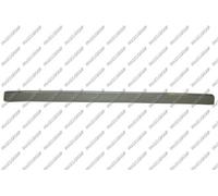 PRASCO Modanatura decorativa/ protettiva, Paraurti posteriore ME0391266