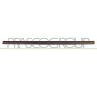 PRASCO Modanatura decorativa/protettiva, Portiera OP3501403 Compatibile con: OPEL MERIVA A Großraumlimousine