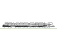 PRASCO BM0311243 Modanatura decorativa / protettiva, Griglia radiatore
