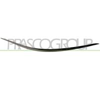PRASCO Modanatura paraurti anteriore Dx ME0411227