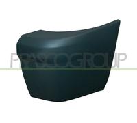 CANTONALE DESTRO PARAURTI POSTERIORE per FORD TOURNEO CONNECT