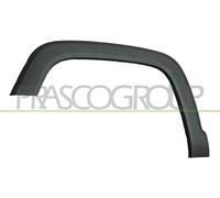PRASCO Parafanghino vorne links JE1001582
