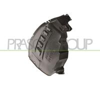 PRASCO Parafango interno FT9303603