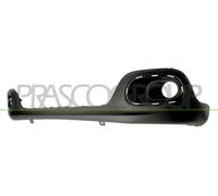 PRASCO Paraurti Anteriore Adatto per CITROEN C3 III 1.2/1.6 Inferiore (NERO)