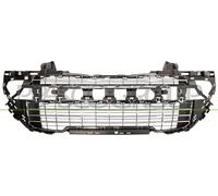Prasco PG4242130 - Griglia Di Ventilazione, Paraurti