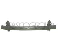PRASCO Rinforzo Paraurti Anteriore Adatto Per FIAT Panda 169 dal (2003-2013)