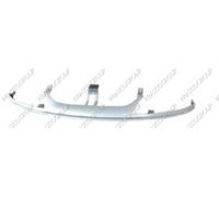 Prasco RN0822305 - Mostrina, Griglia Radiatore