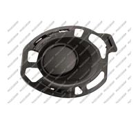 PRASCO RN3272113 Griglia paraurti Dx Compatibilità con RENAULT Clio 3 Hatchback BR0/1, CR0/1