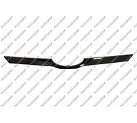 PRASCO SB7042206 striscia decorativa e protettiva Griglia del radiatore
