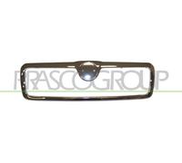 Prasco SK0222011 - Griglia Radiatore