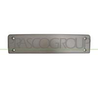 PRASCO Supporto targa VG0551539 Compatibile con: VW PASSAT B7, PASSAT B7 Variant