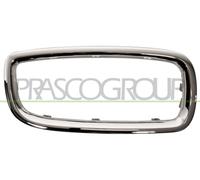 PRASCO BM0992333 Telaio, Griglia radiatore