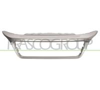 Prasco Cornice Griglia Superiore FT9322305 Grigia per Fiat Ducato (2014 in poi)