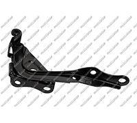Cerniera Cofano Sinistra Toyota Rav 4 Dal 2006 Al 2009 Lato Sinistro 5342042060